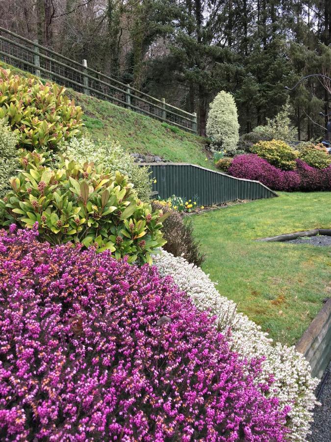 Tan Y Graig Acomodação com café da manhã Meifod Exterior foto